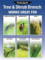 tree drench website image 1c